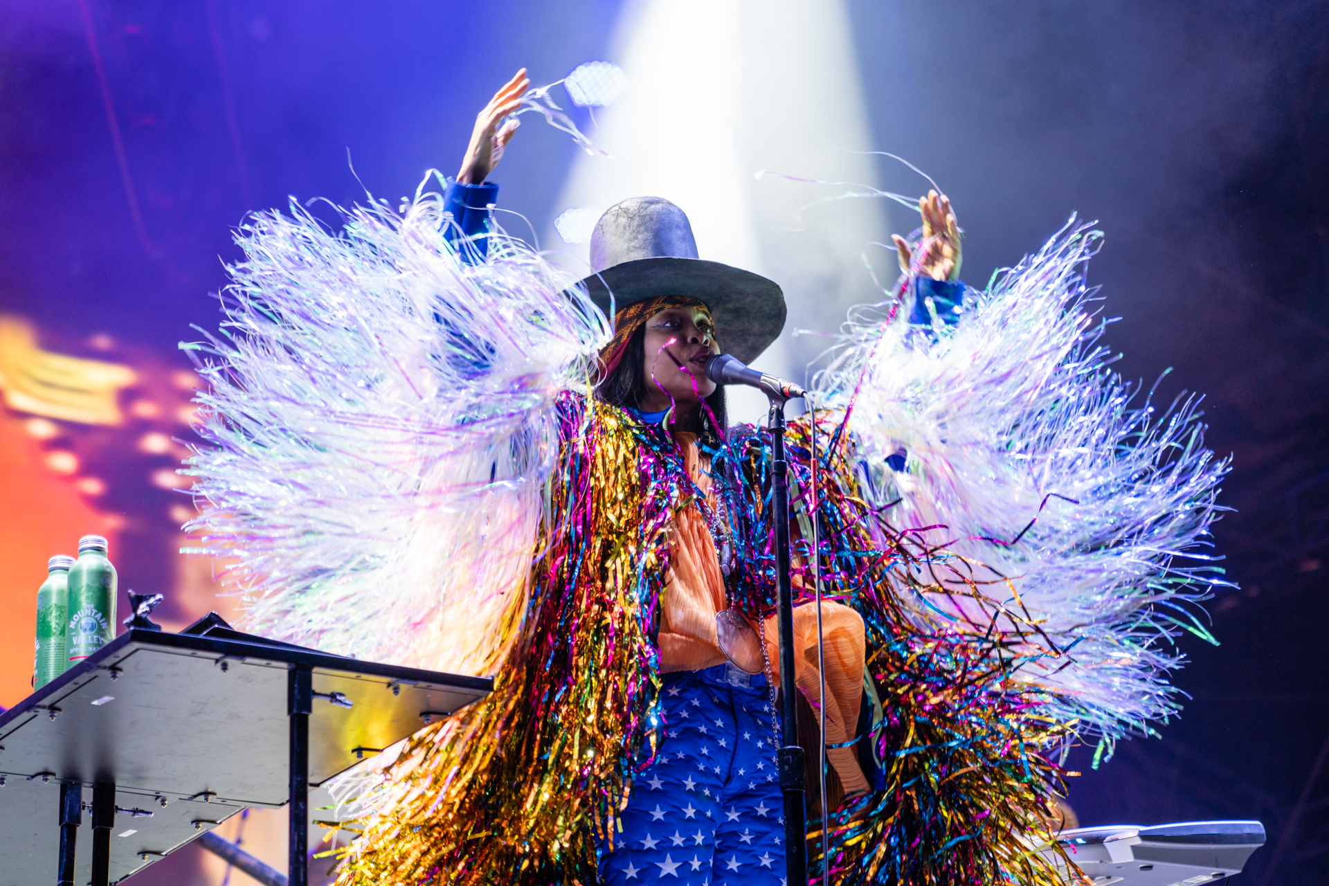 Erykah Badu promotional photo for Walk Between Worlds Australian Tour 2026